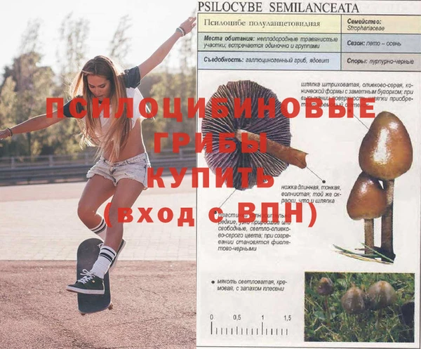 винт Богданович